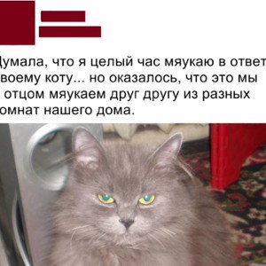 Роп и боп 