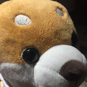 La gomi HYPEX