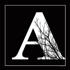 A  MATRIZ