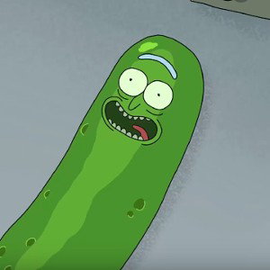 Ya! PickleRick