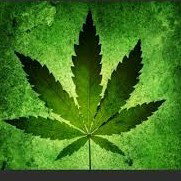 Raggе 