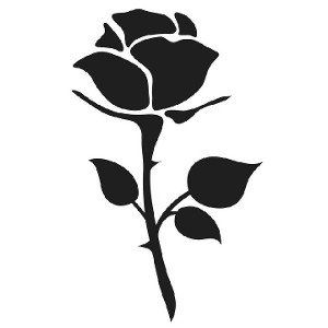 Black guns 'n rose