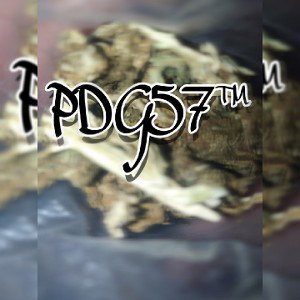 Corporativo PDG 57