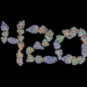 4:20 MC rap