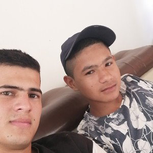 Los primos