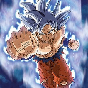 Gokus rap Rache! 
