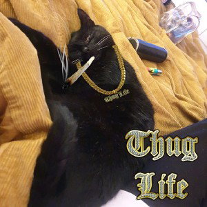 Thug King Prince Offensive 