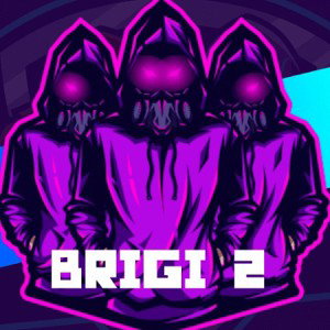 BRIGI 2