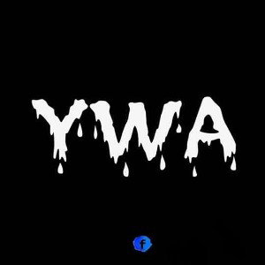 Young Wealthy Association 