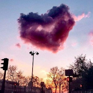 Cupido S4d
