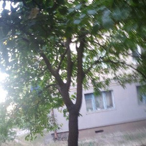 #Паровозег