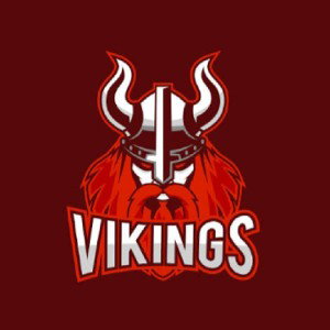 VIKINGOS DEL MAL