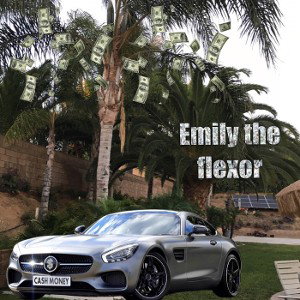 Emilythe flexor