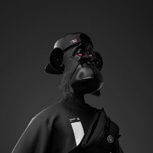 DARK FAMILY