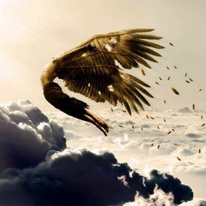 King,eagles 