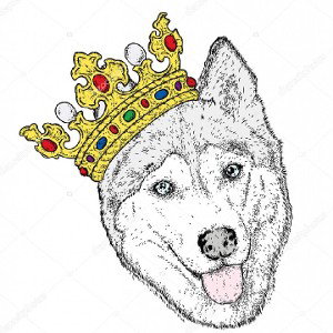 THE WOLF KING Studio