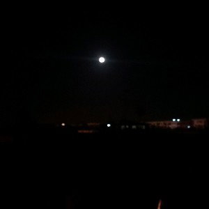 FLOWERY moon 