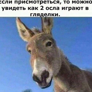 Celiki