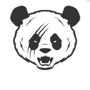 Rsnboi