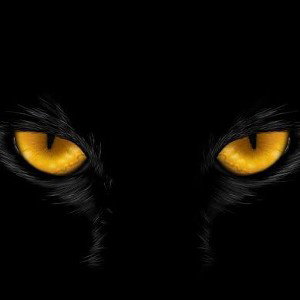  Power  Black