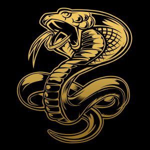 COBRA SLANG GANG