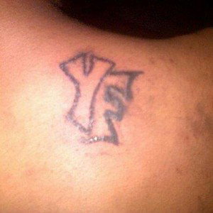 Young Fella 