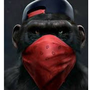 West Side Gorrillaz