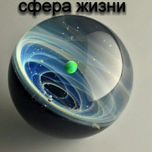 Сфера жизни
