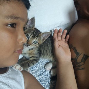 Los truques