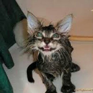 КоТаНы В РэПе