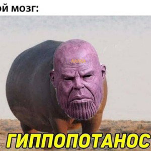 Мой кланоалсомм