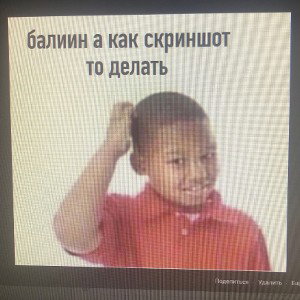 2 БЫДЛЫ