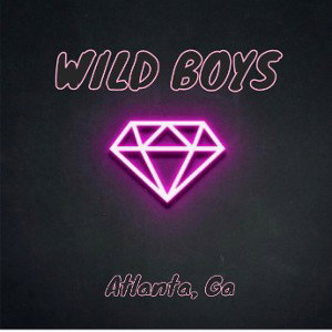 Wild boys Studios 