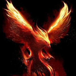Phoenix on fire