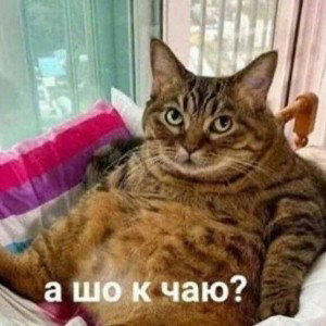 Мс батлы