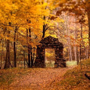 Autumna_Momentum 
