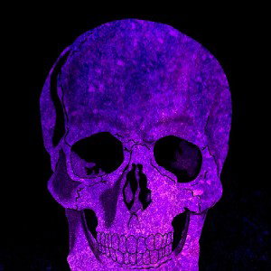 Italians Skulls