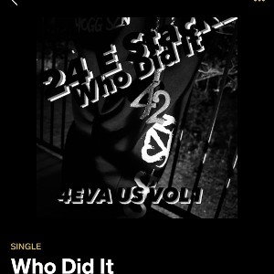 who Did It 