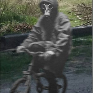 з бабою картошку...