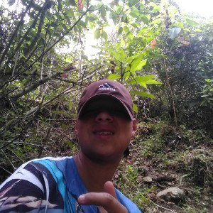 Salazar 17