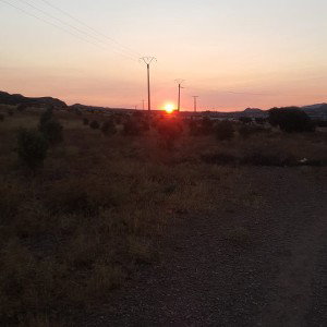 Omega (03:00:50)