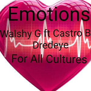 emotions for the cultures
