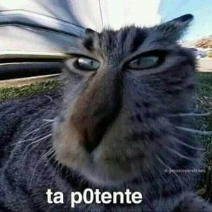 al pincho todo 