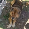 distraction