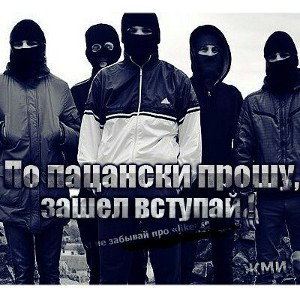 друзья, девушка, подпищики. 