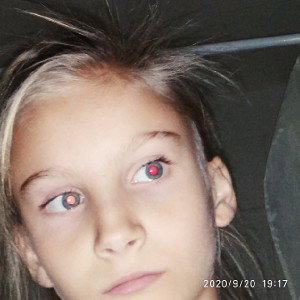 Новичек