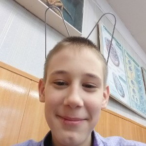  силуэты 2.0