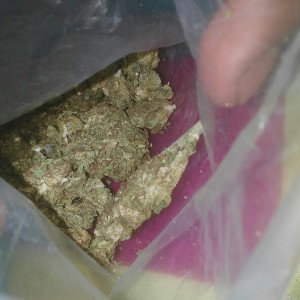 Asi Soy Yo - Manuel Kush20