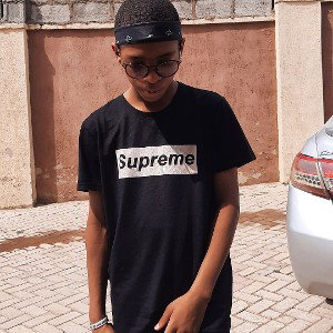 Steady bars