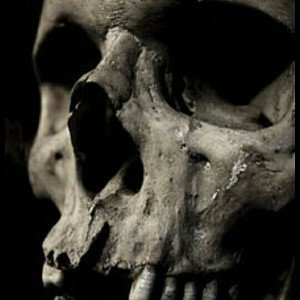Mas Nada(cycro official)